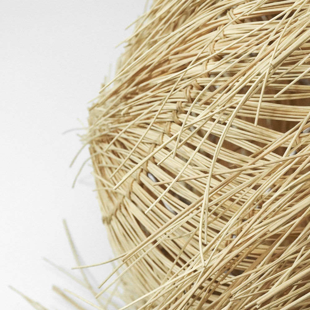 PALAPA
