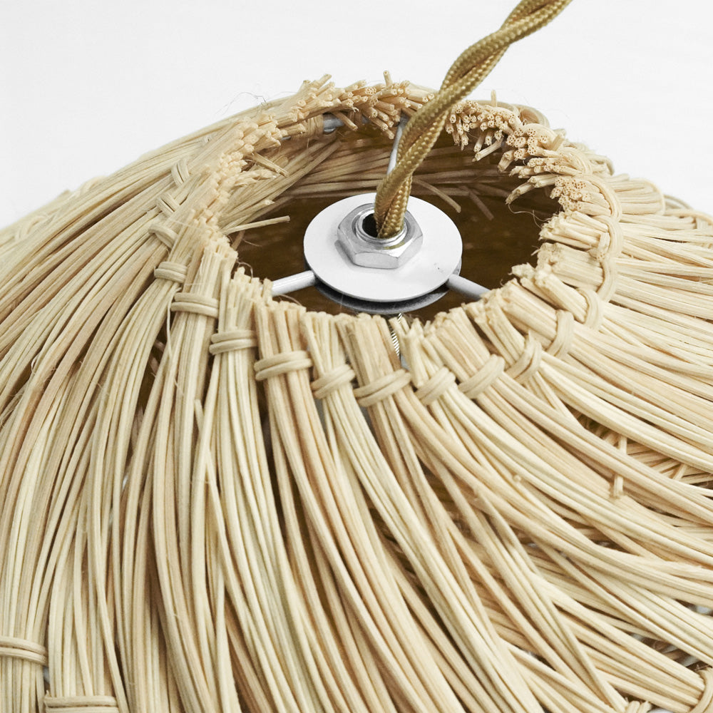PALAPA