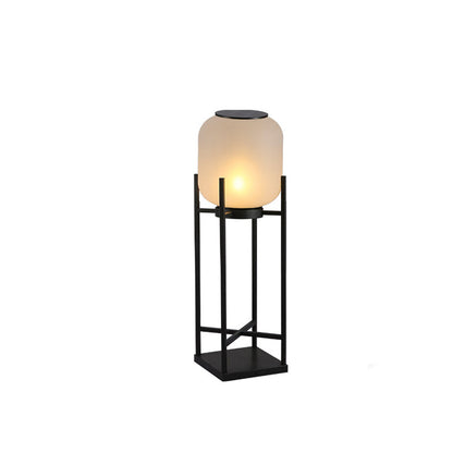 IGNIS