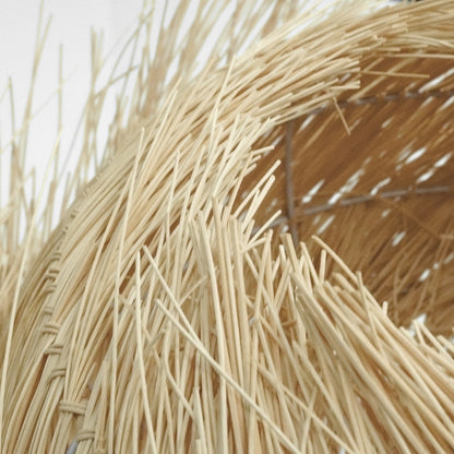 PALAPA