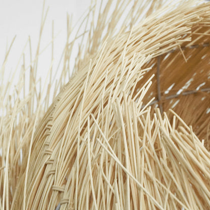 PALAPA